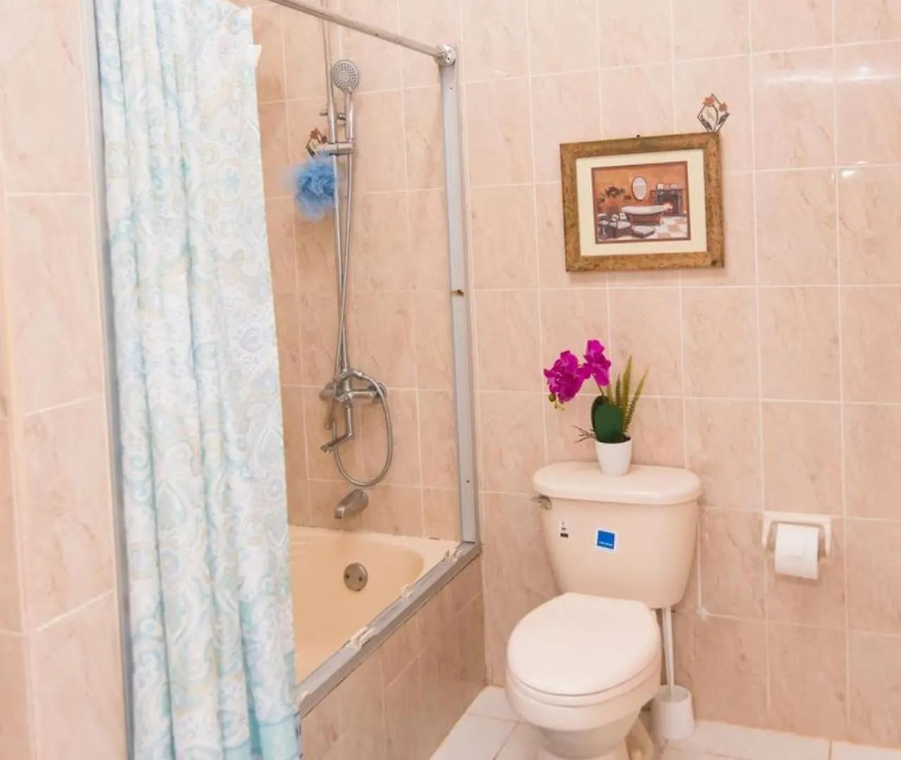 Bed & Breakfast Suzette Guesthouse Accommodations Saint Maryʼs